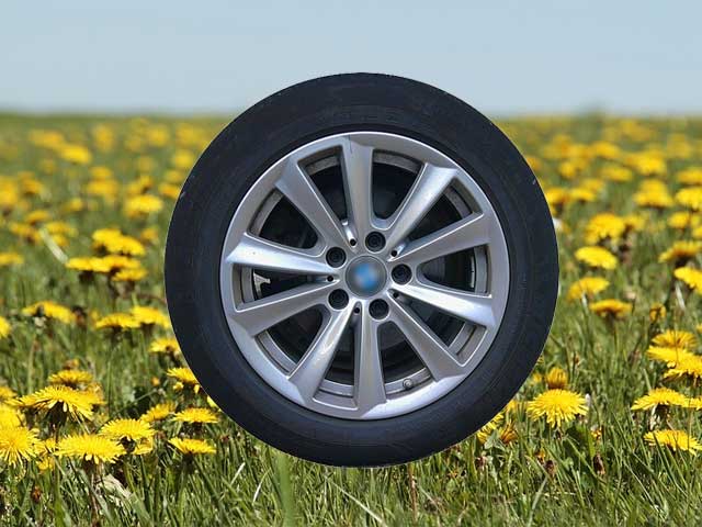 Dandelions are a key component to the future of tires?
